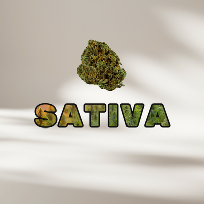 Sativa