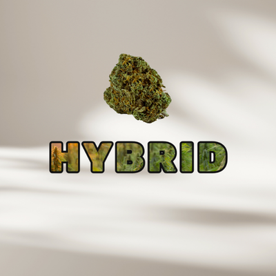 Hybrid