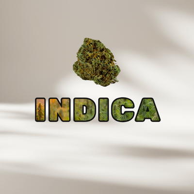 Indica