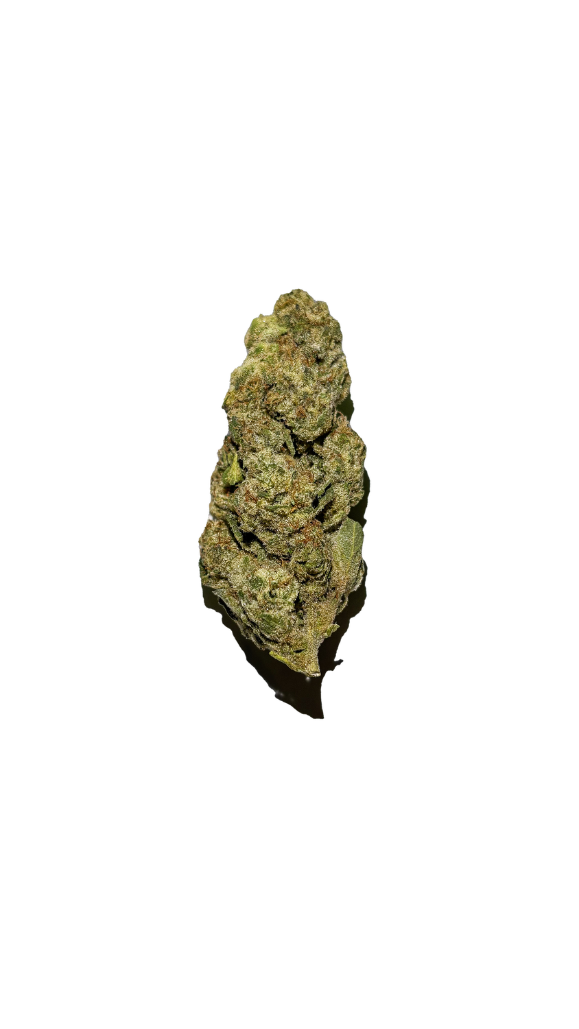 THCA Flower Sativa - Jungle Pie