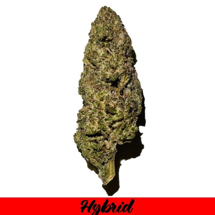 THCA Flower Hybrid- HashBurger