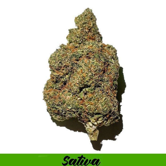 THCA Flower Sativa - Acai Gelato