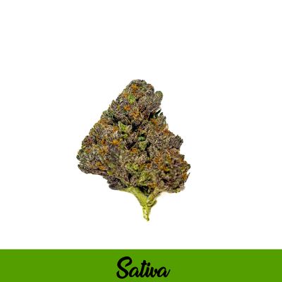 THCA Flower Sativa - Tropicana Cookies