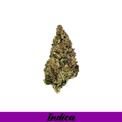 THCA Flower Indica - Government Oasis