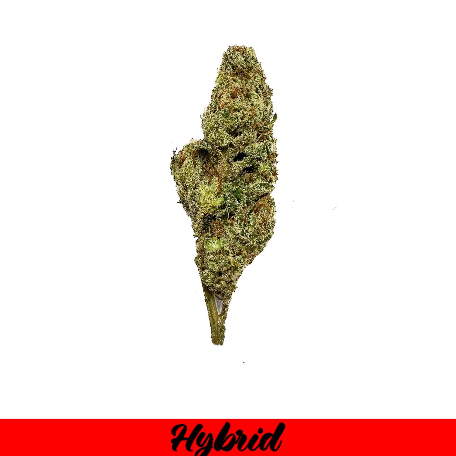 THCA Flower Hybrid- Lemon Cherry Gelato