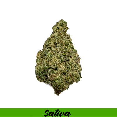 THCA Flower Sativa - White Widow