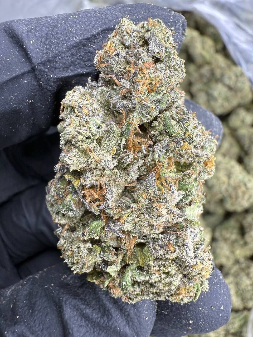 THCA Flower Cherry Pie Runtz