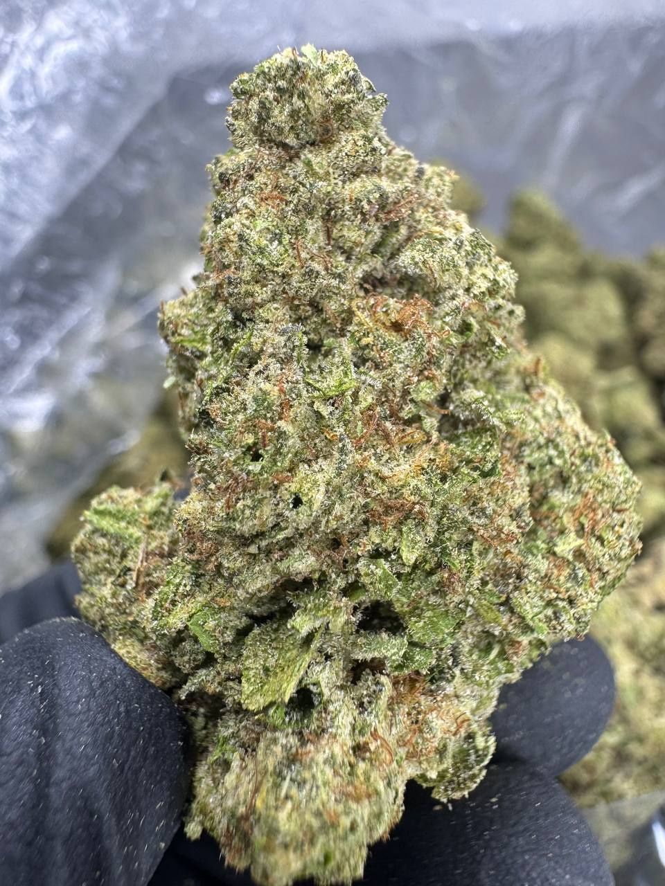 THCA Flower Indica - Animal Face