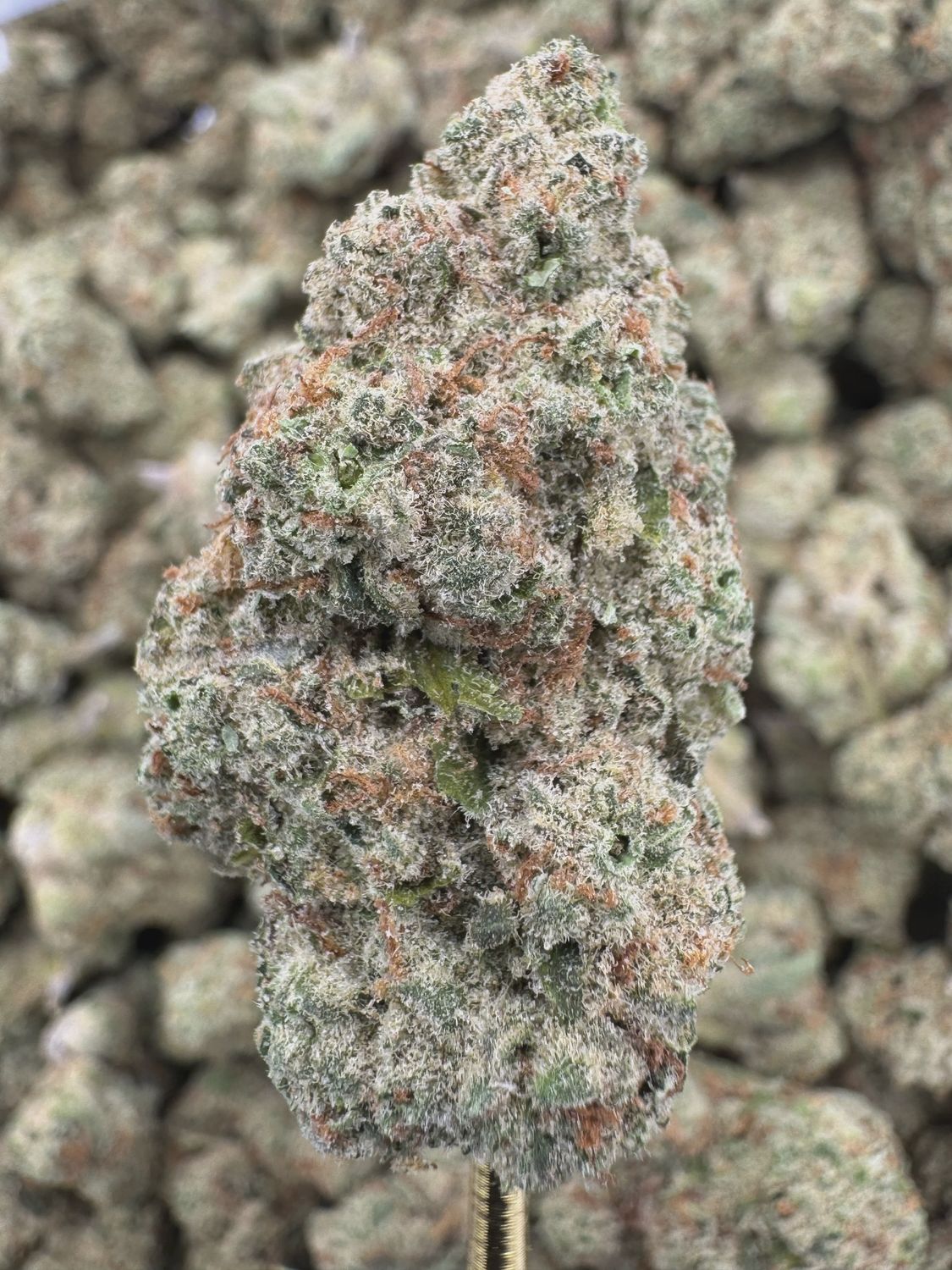 THCA Flower Sativa Hybrid - Clementine