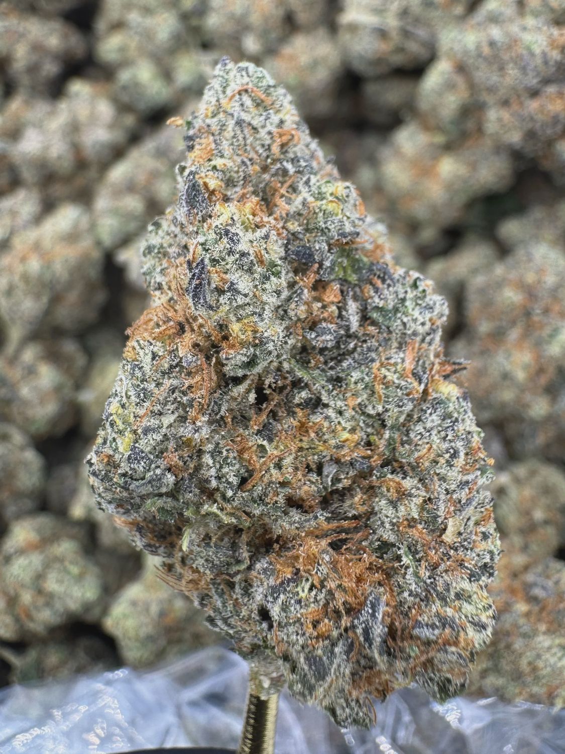 THCA Flower Hybrid - Cap Junkie