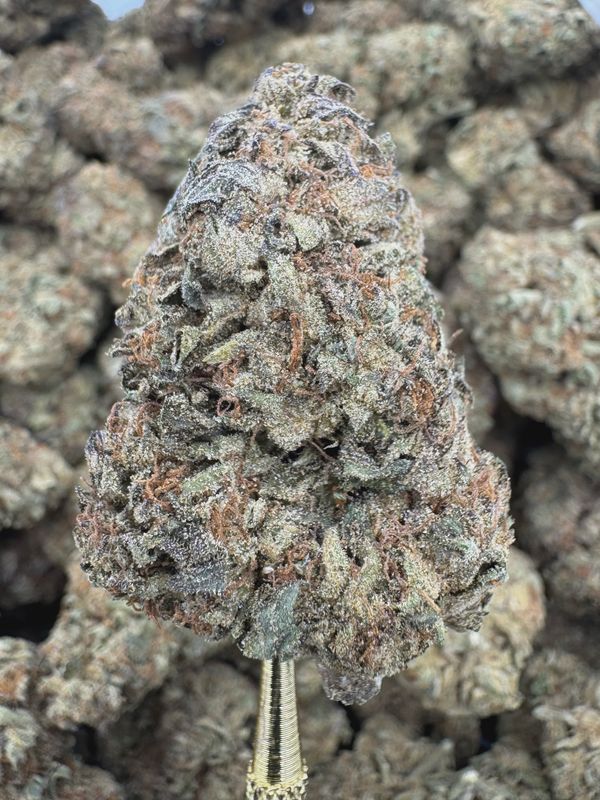 THCA Flower Hybrid - Gelato King