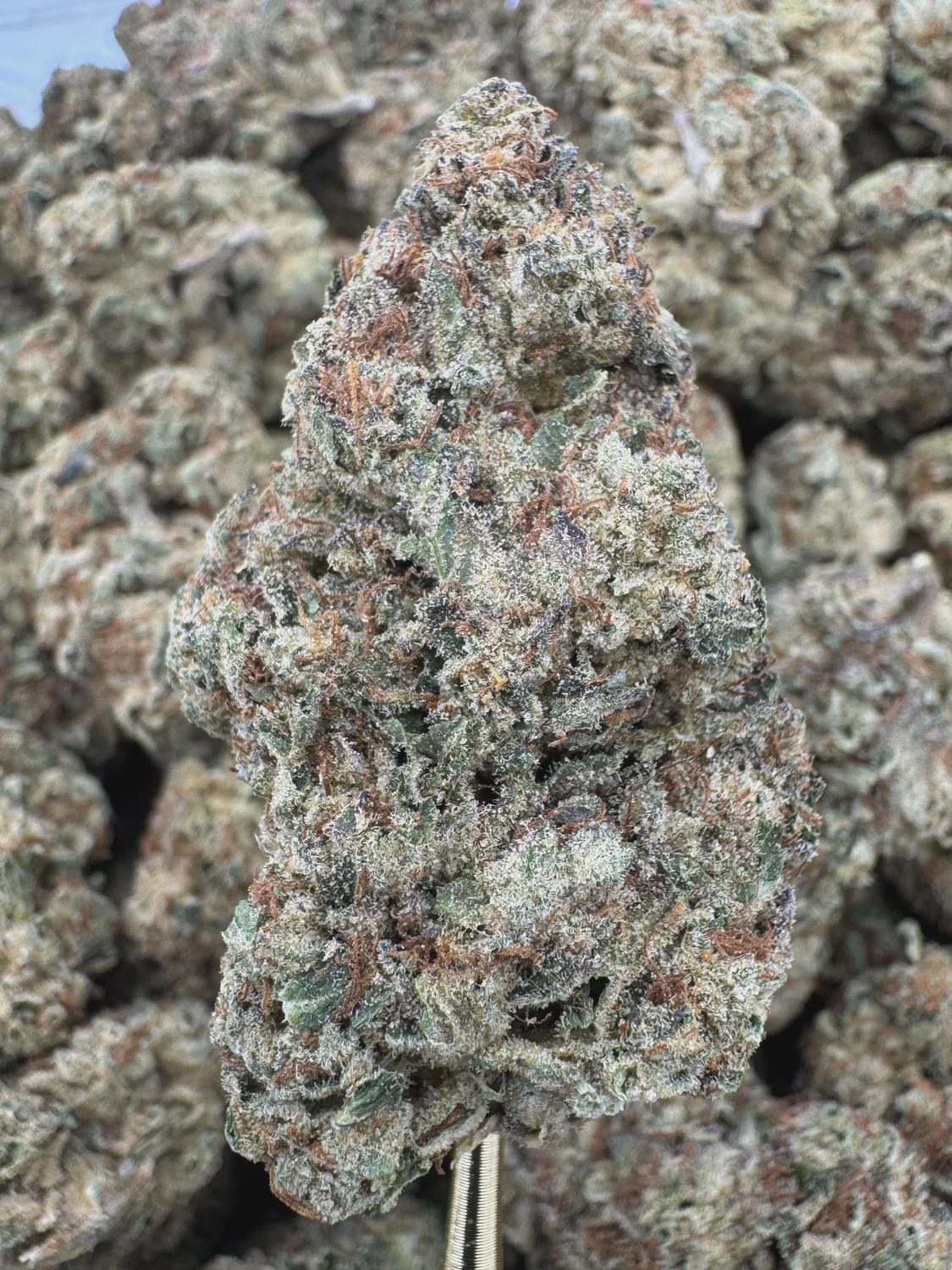 THCA Flower Indica Dominant Hybrid - Black Ice