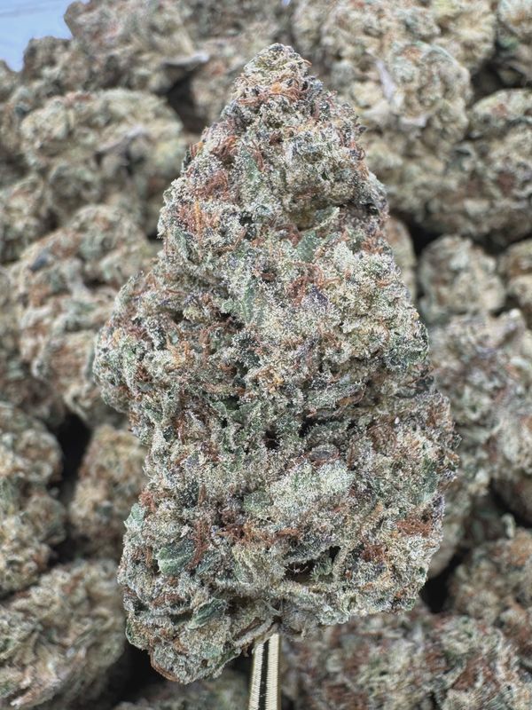 THCA Flower Indica Dominant Hybrid - Black Ice
