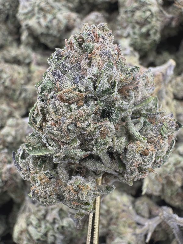 THCA Flower Hybrid - Blue Lobster