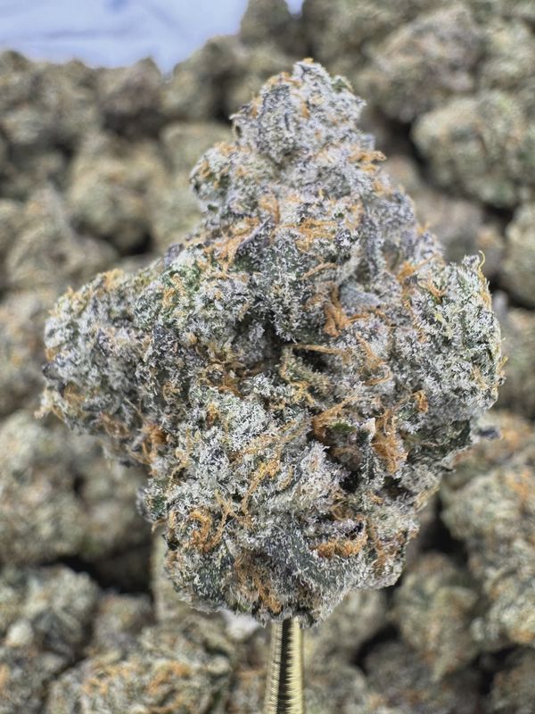 THCa Flower | Hybrid- Baby Yoda