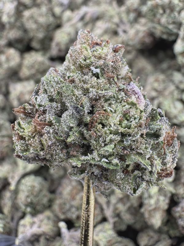 THCA Flower Hybrid - Pink Runtz