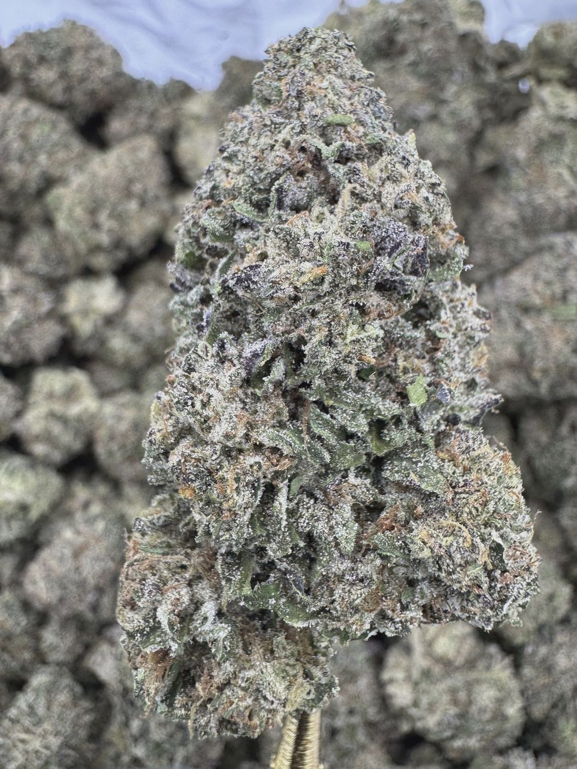 THCA Flower Sativa - Pineapple Express