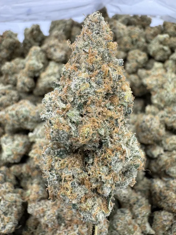 THCA Flower Indica Dominant Hybrid - Blackberry Superboof