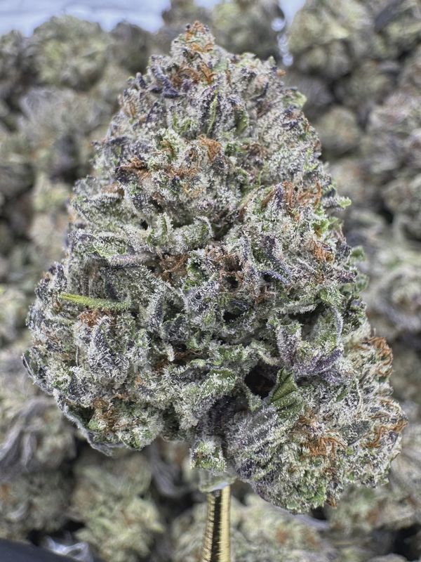 THCA Flower Sativa Dominant Hybrid - White Durban