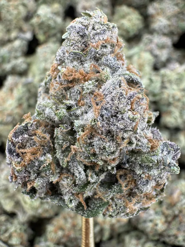 THCA FLower- Indica Dominant Hybrid - Blueberry Pancake
