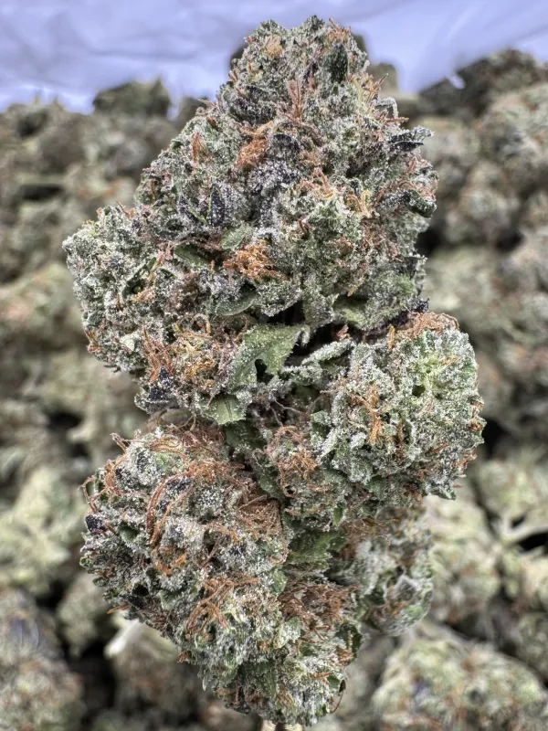 THCA Flower Sativa - Strawberry Cough