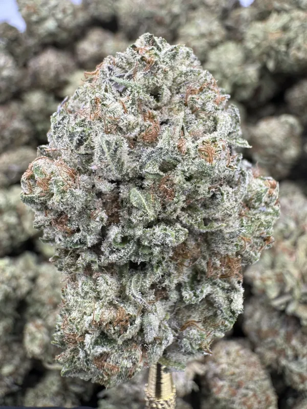 THCA Flower Hybrid - Double Stuffed