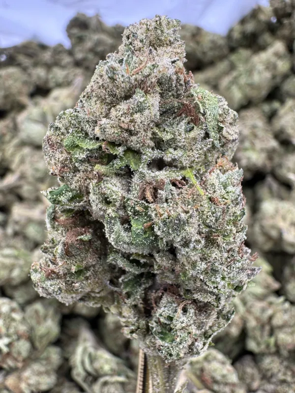 THCA Flower Hybrid - Candy Runtz