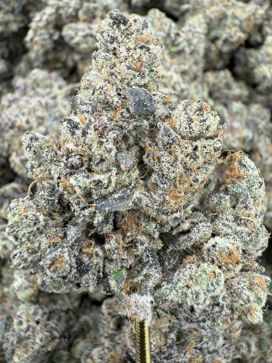 THCA FLower Indica Dominant Hybrid - Pop Rocks