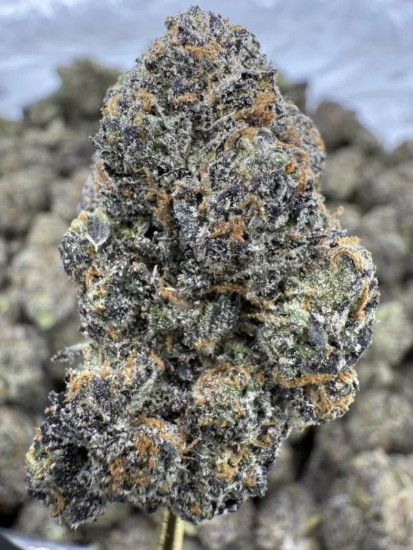 THCa Flower | Indica Dominant Hybrid | Gumbo