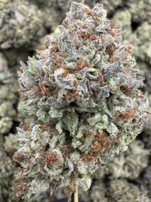 THCa Flower | Indica Dominant Hybrid | Donut Shop