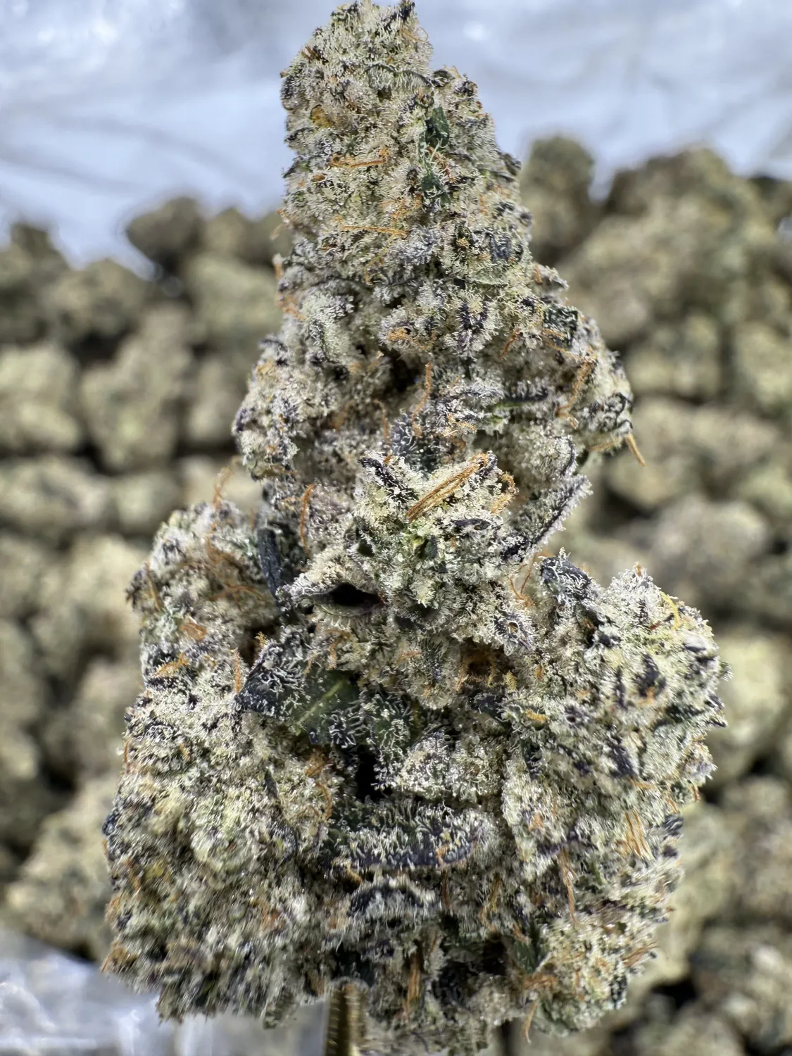 THCa Flower | Indica Dominant Hybrid | Pucker Up