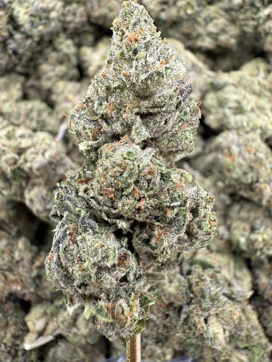 THCa Flower | Hybrid | Magic Marker
