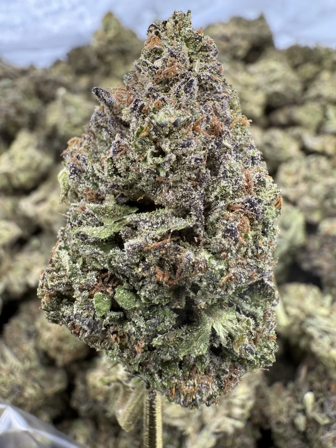 THCa Flower | Indica | Insane Pound Cake