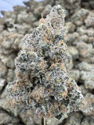 THCa Flower | Indica Dominant Hybrid | Blackberry Super Boof THCa Flower | Indica Dominant Hybrid | Blackberry Super Boof