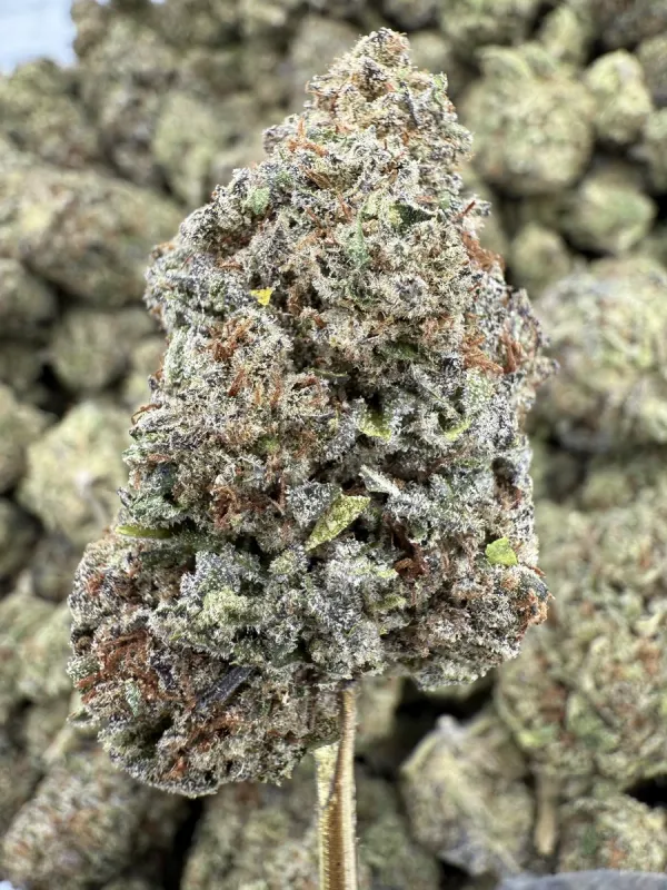 THCa Flower | Indica Dominant Hybrid | Pink Certz