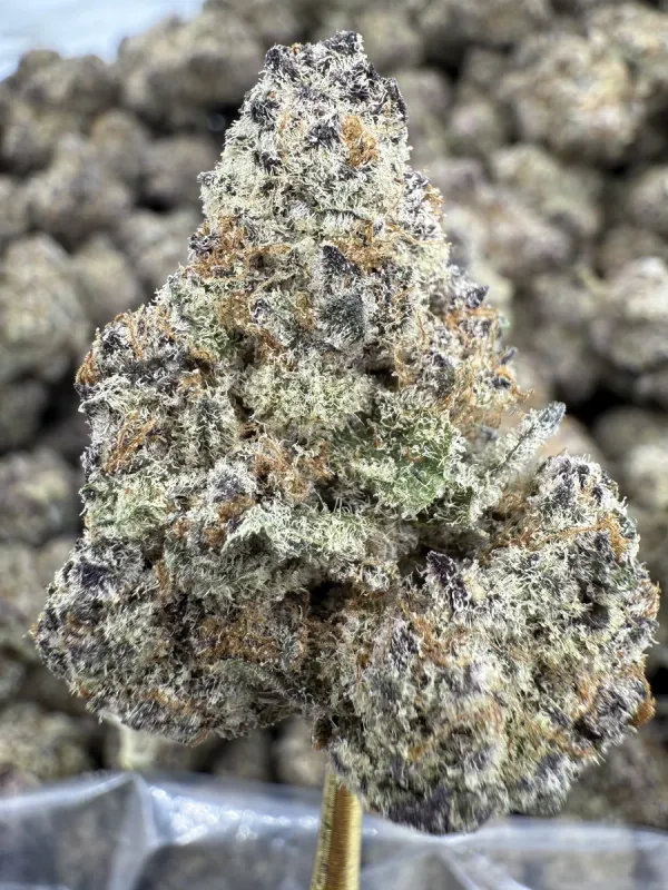 THCa Flower | Indica Dominant Hybrid | Sub Zero