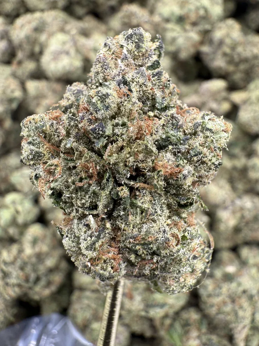 THCa Flower | Indica Dominant Hybrid | Frosted Cherry