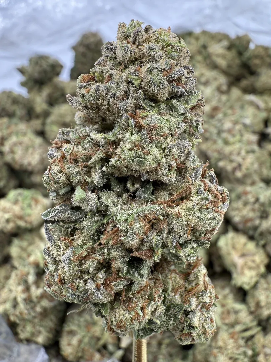 THCa Flower | Sativa | Pink Lemonade