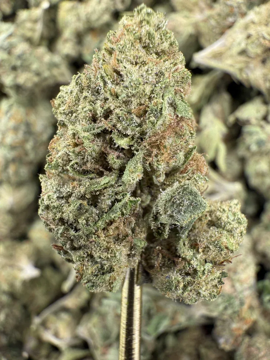 THCa Flower | Indica Dominant Hybrid | Honey Banana-SMALL