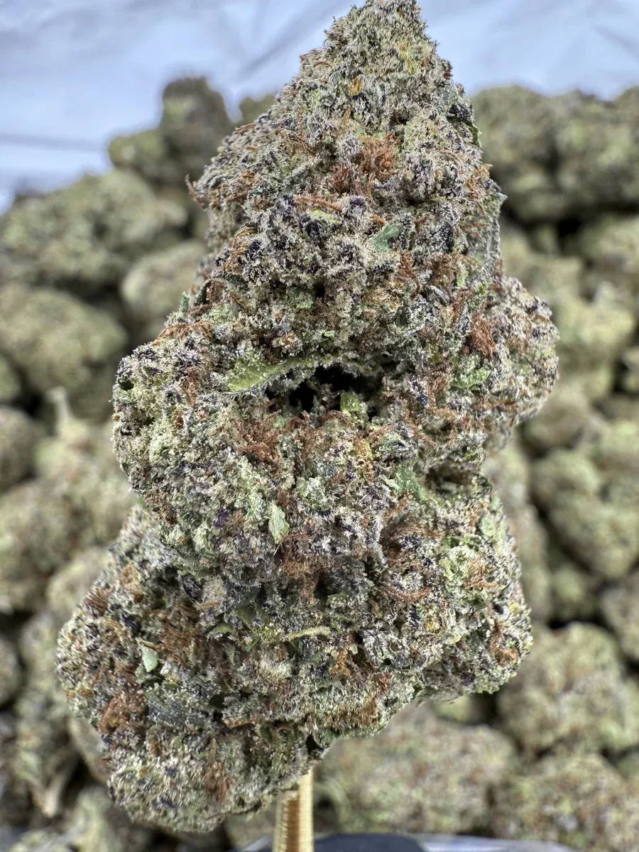 THCa Flower | Sativa Dominant Hybrid | Candy Rain