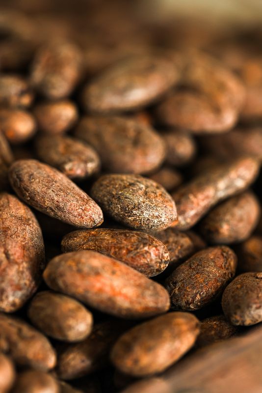 Cacao Tea - Tin 75gr