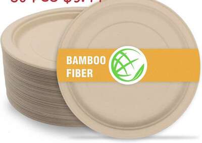 ZhuzhiYuan 10 Inch 100% Bamboo Fiber Heavy Duty Eco-Friendly Plate 60 Pack