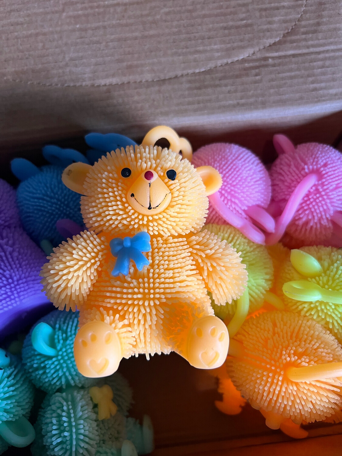 My Lovely Zoo Bear Light up