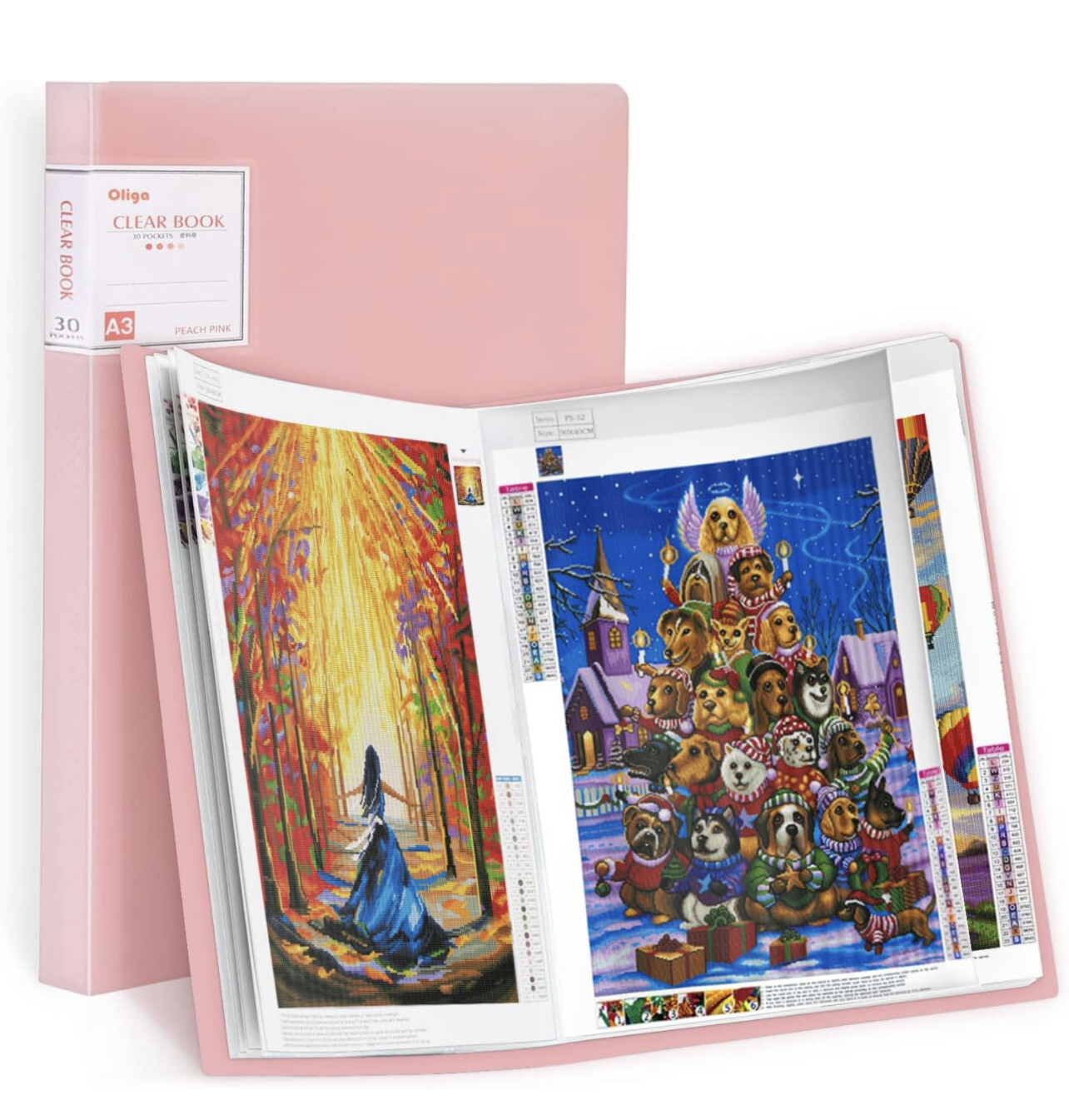 2 Pieces Diamond Painting Storage Book Presentation Book Art Portfolio Folder 40 Clear Pockets Picture Portfolio Art Work Binder for Artwork Organizer Protector, Blue and Pink (16.93 x 12.8 Inch)