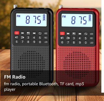 FM Radio Small Portable MicroSD Card MP3 Player Voice Recorder Rechargeable Battery Powered B007