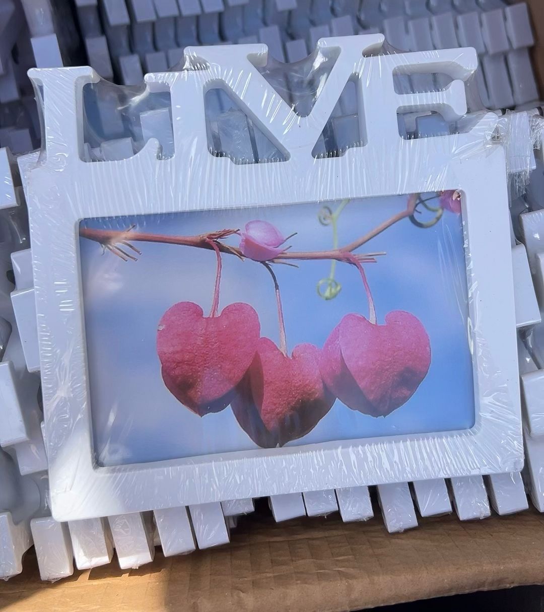 Picture Frame Live