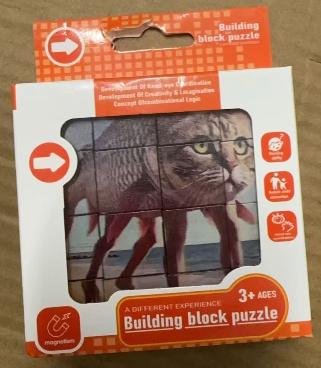Building Block Puzzle