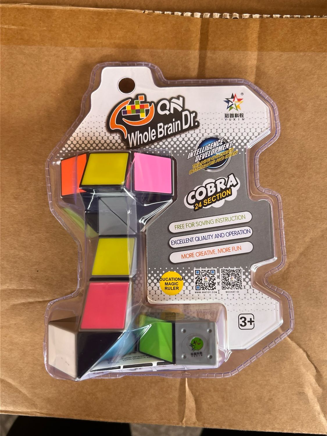 Whole Brain Dr. Cobra Cube Block24 Section No.1528