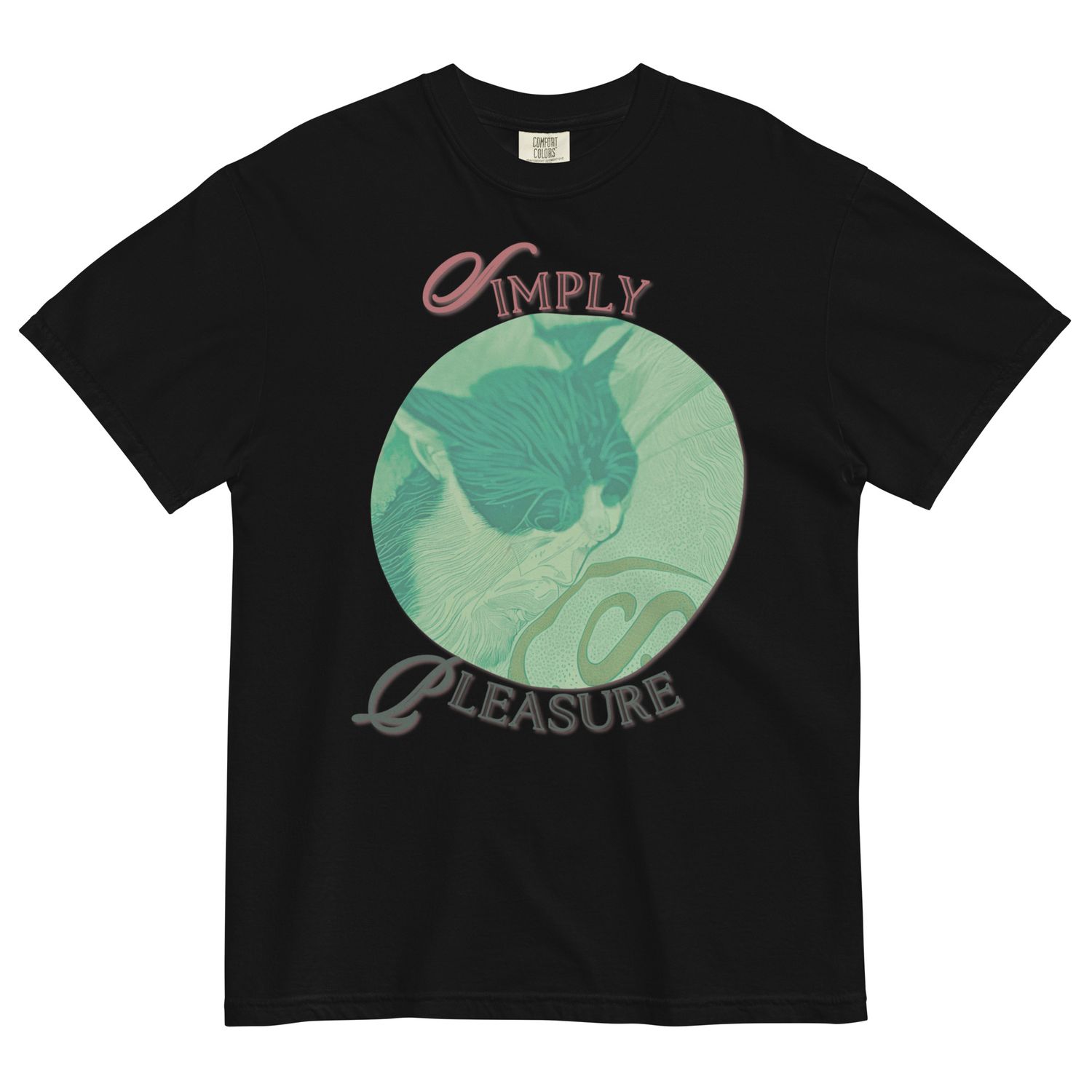 Simply Pleasure heavyweight t-shirt