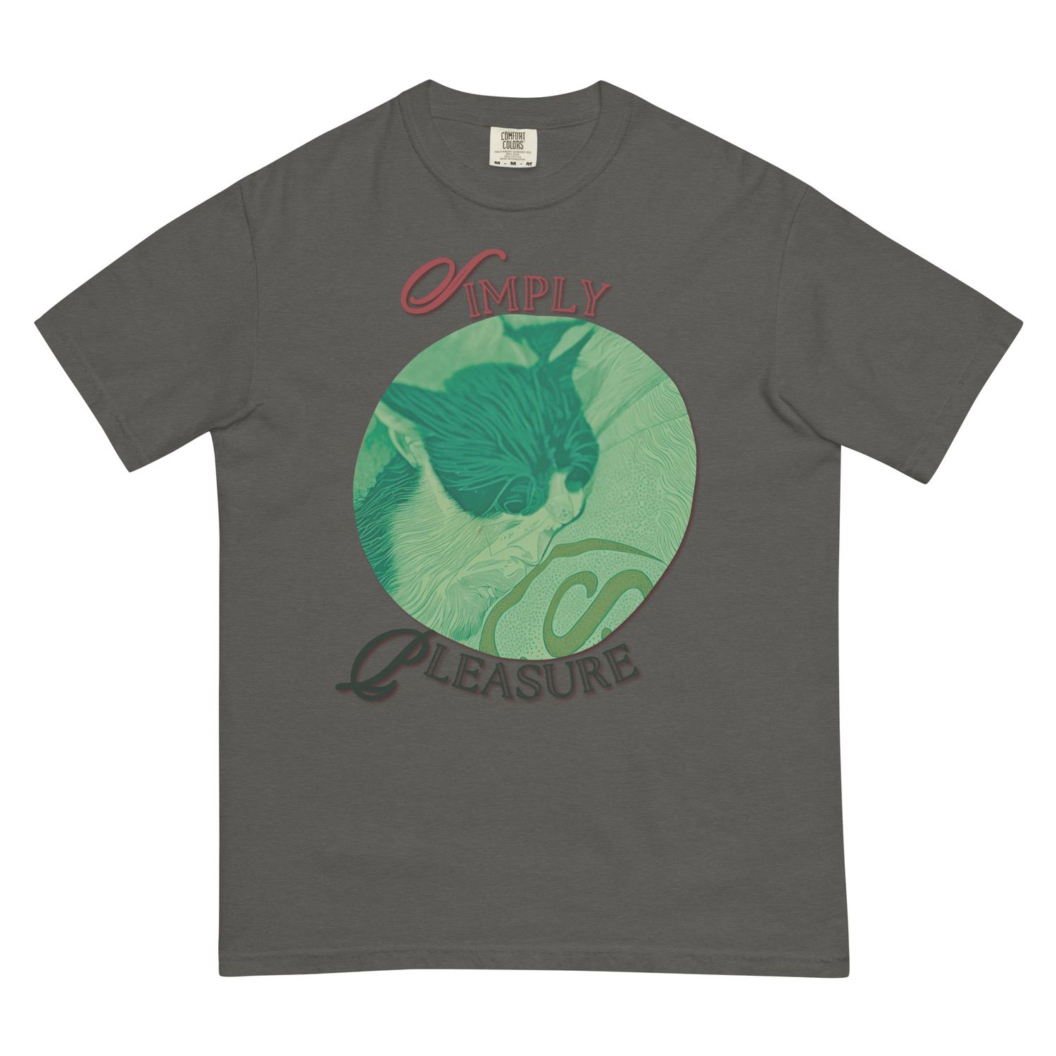 Simply Pleasure heavyweight t-shirt